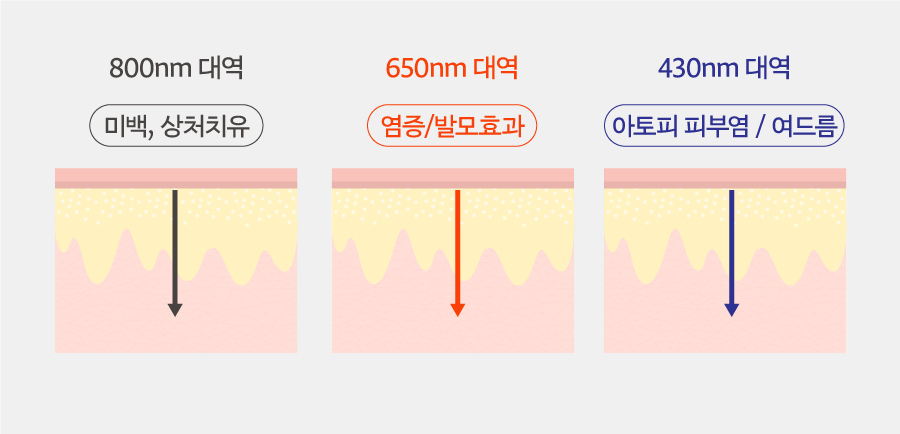 81abe8068e1c69766ed9e2ff0f3361b0_1659870123_6654.jpg